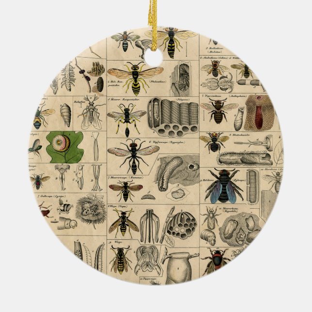 Adorno De Cerámica Bee Insect Bug Wasp Naturaleza Abejas Pintura (Atrás)