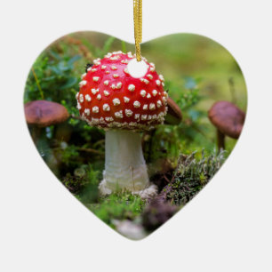 Adorno De Cerámica Belleza de otoño