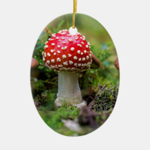 Adorno De Cerámica Belleza de otoño