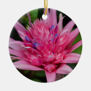 Adorno De Cerámica Belleza rosa