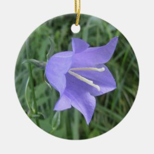 Adorno De Cerámica Bellflower