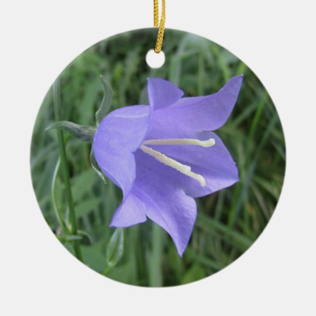 Adorno De Cerámica Bellflower (Frente)