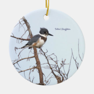Adorno De Cerámica Belted Kingfisher Bird Ornament 