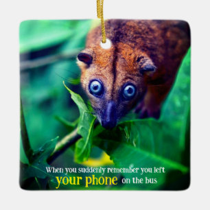 Adorno De Cerámica Big Eyed Possum