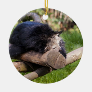 Adorno De Cerámica Binturong durmiente