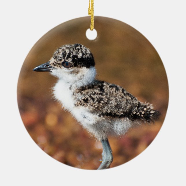 Adorno De Cerámica Bird (Atrás)