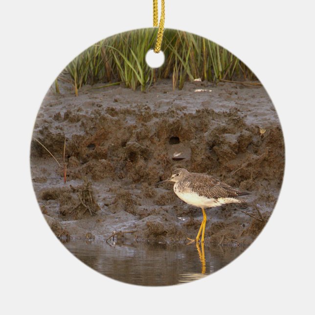 Adorno De Cerámica Bird Photo Ornament (Frente)