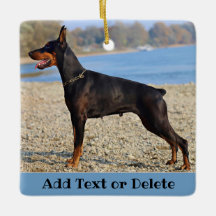 Black y Tan Doberman Pinscher personalizados
