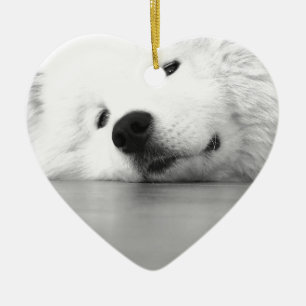 Adorno De Cerámica Blanco del perro de la foto del samoyedo