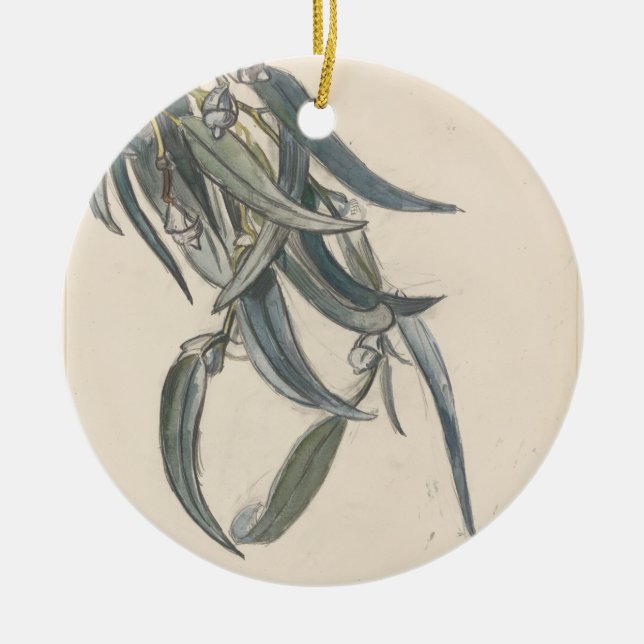 Adorno De Cerámica Bloeiende tak van een eucalyptus (Frente)