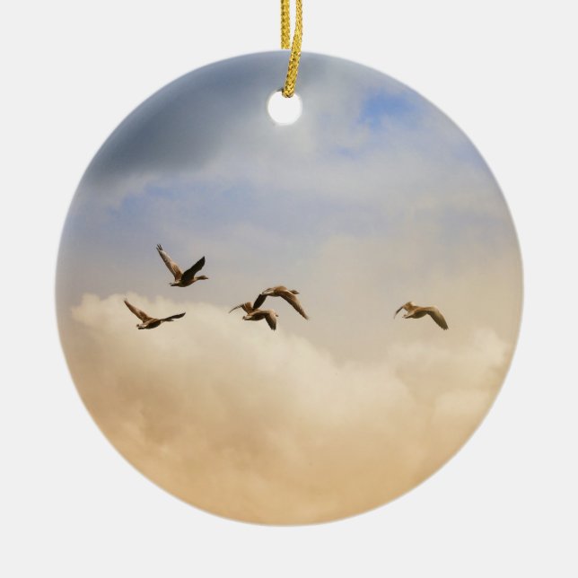 Adorno De Cerámica Bloqueo de aves en vuelo (Frente)