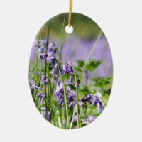 Bluebells en Inglaterra