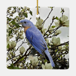 Adorno De Cerámica Bluebird