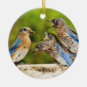 Adorno De Cerámica Bluebird del este