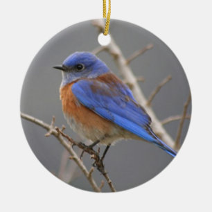 Adorno De Cerámica Bluebird occidental