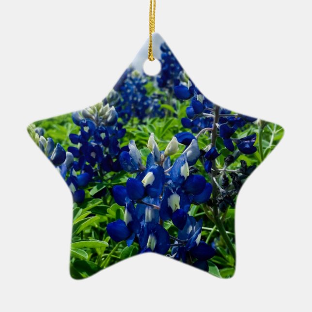 Adorno De Cerámica Bluebonnets Blue Floral Texas Texan Elegant (Frente)