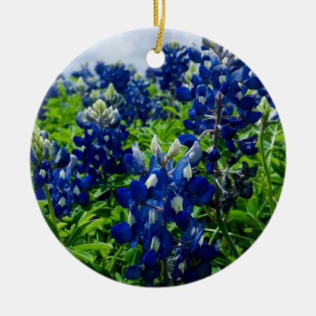 Adorno De Cerámica Bluebonnets Blue Floral Texas Texan Elegant (Frente)