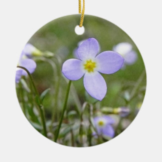 Adorno De Cerámica Bluets - señoras del Quaker