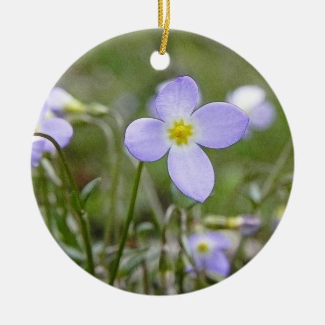 Adorno De Cerámica Bluets - señoras del Quaker (Frente)