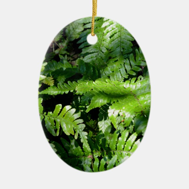 Adorno De Cerámica Boho botánico de Spring Green Ferns (Frente)
