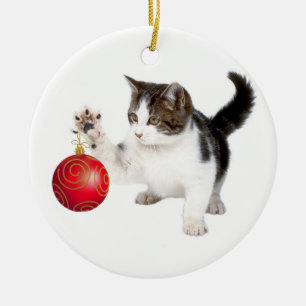 Adorno De Cerámica Bola del gatito y del navidad