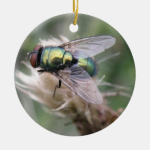 Adorno De Cerámica Bola Verde Fly Macro Cumpleaños