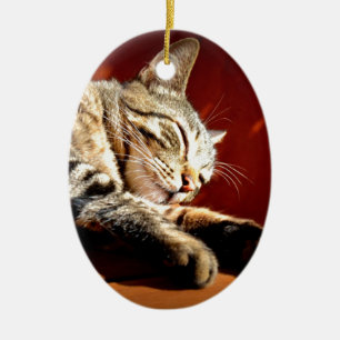 Adorno De Cerámica Bonito gato atigrado