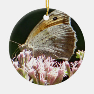 Adorno De Cerámica Bonito mariposa grande