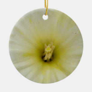 Adorno De Cerámica Bonito Pale Daffodil Personalizado Cumpleaños