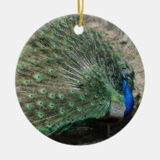 Adorno De Cerámica Bonito Peacock