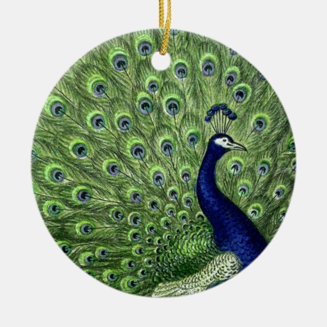 Adorno De Cerámica Bonito Peacock (Frente)