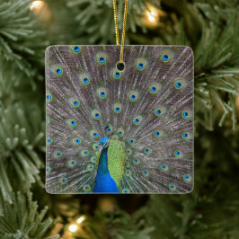 Adorno De Cerámica Bonito Peacock