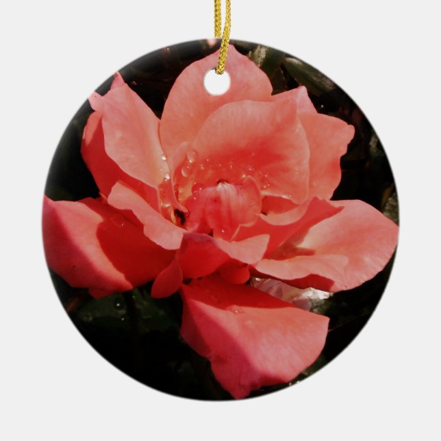 Adorno De Cerámica Bonito Rosa Rosa Rosa floral (Frente)