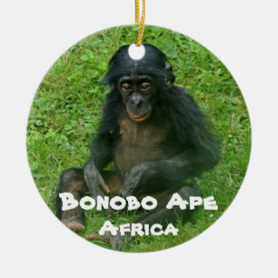 Adorno De Cerámica Bonobo Ape Serie de Especies en Peligro