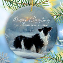 Border Collie en Navidad Vacaciones Nieve Invernal
