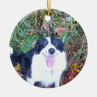 Adorno De Cerámica Border collie feliz