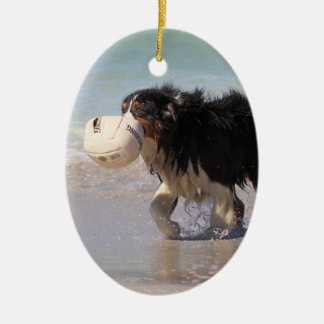 Adorno De Cerámica ¿Border collie - fútbol cualquier persona?
