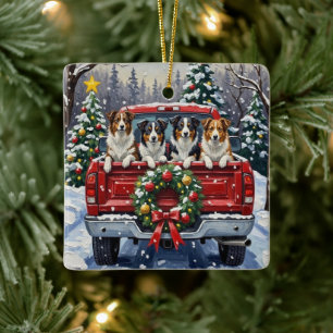 Adorno De Cerámica Border Collie Navidad Camión Rojo Festa