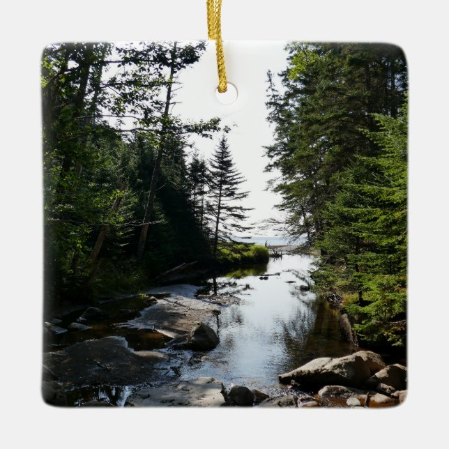 Adorno De Cerámica Bosque cerca de la playa de Hunters (Anverso)