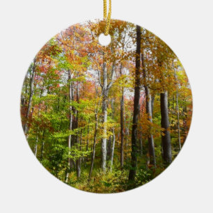 Adorno De Cerámica Bosque de otoño I Fotografía de paisaje otoñal