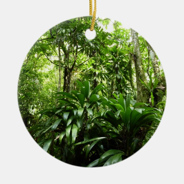 Adorno De Cerámica Bosque lluvioso dominicano I Naturaleza tropical v (Frente)