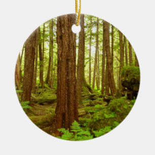 Adorno De Cerámica Bosque Lluvioso Templado de Alaska