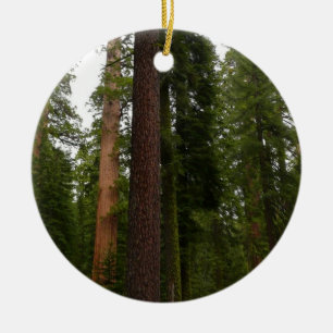 Adorno De Cerámica Bosque Mariposa en el Parque Nacional Yosemite