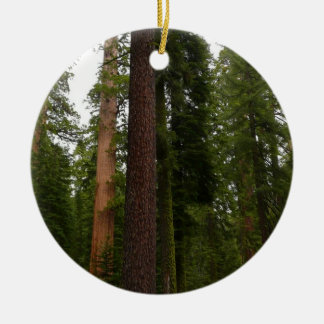 Adorno De Cerámica Bosque Mariposa en el Parque Nacional Yosemite