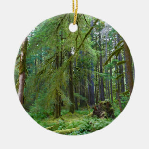 Adorno De Cerámica Bosque Primario
