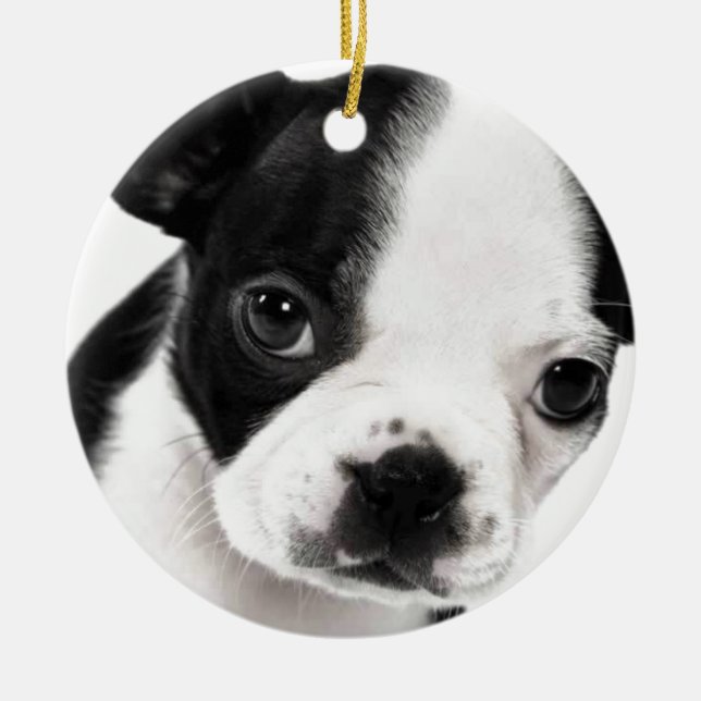 Adorno De Cerámica Boston Terrier (Frente)