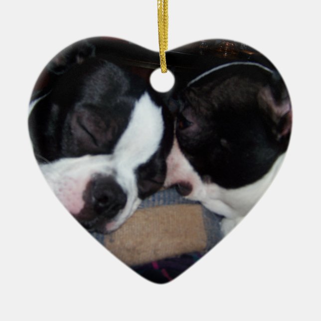 ADORNO DE CERÁMICA BOSTON TERRIER ORINAMENT (Frente)