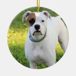 Adorno De Cerámica Boxeador