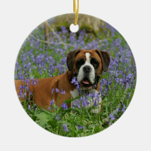 Adorno De Cerámica Boxeador que juega en Bluebells