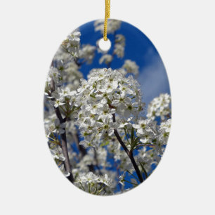 Adorno De Cerámica Bradford Pear Blooms